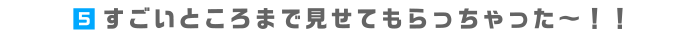 5.すごいところまで見せてもらっちゃった～！！